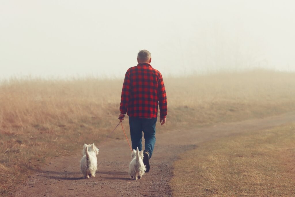 Man in plaid shirt walking two dogs on a foggy rural path in Jönköping, Sweden.