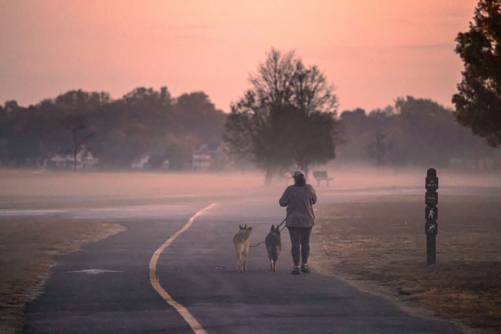 A person walks two dogs through misty Cove Island Park in Stamford, capturing the serene fall morning.
